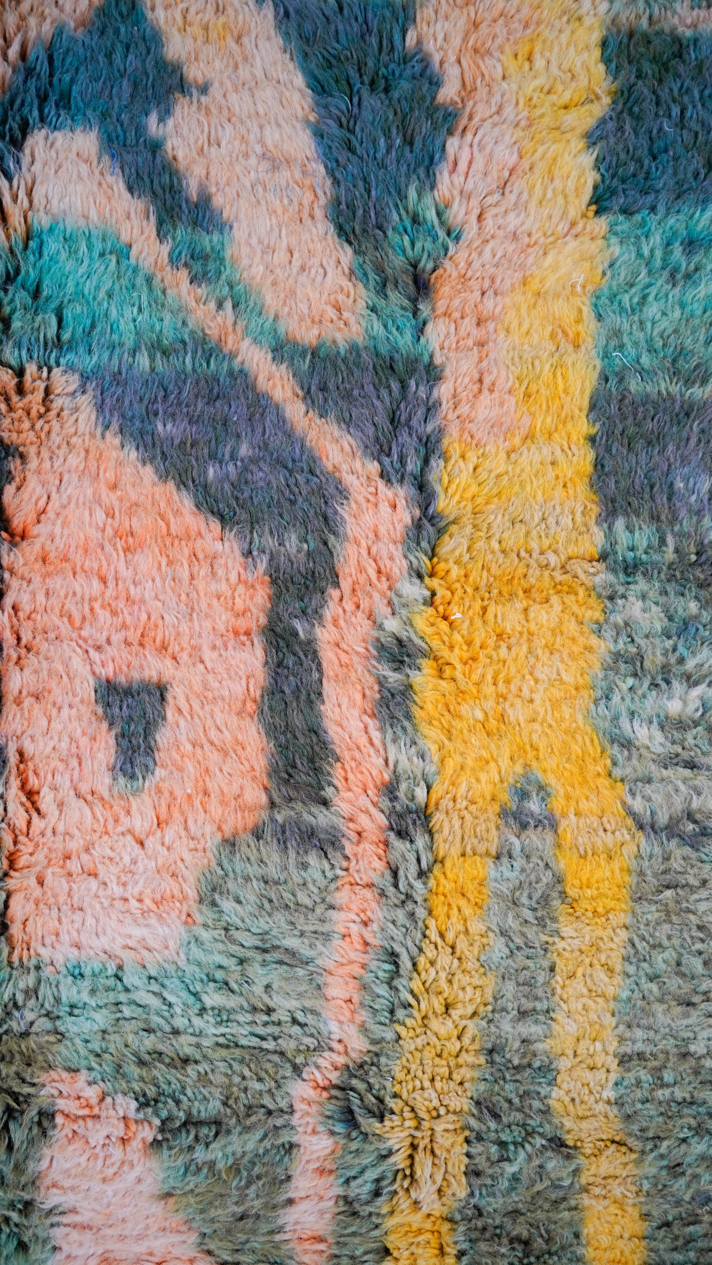 TAPIS BENI OUARAIN COLOR ◈ 305 cm x 210 cm