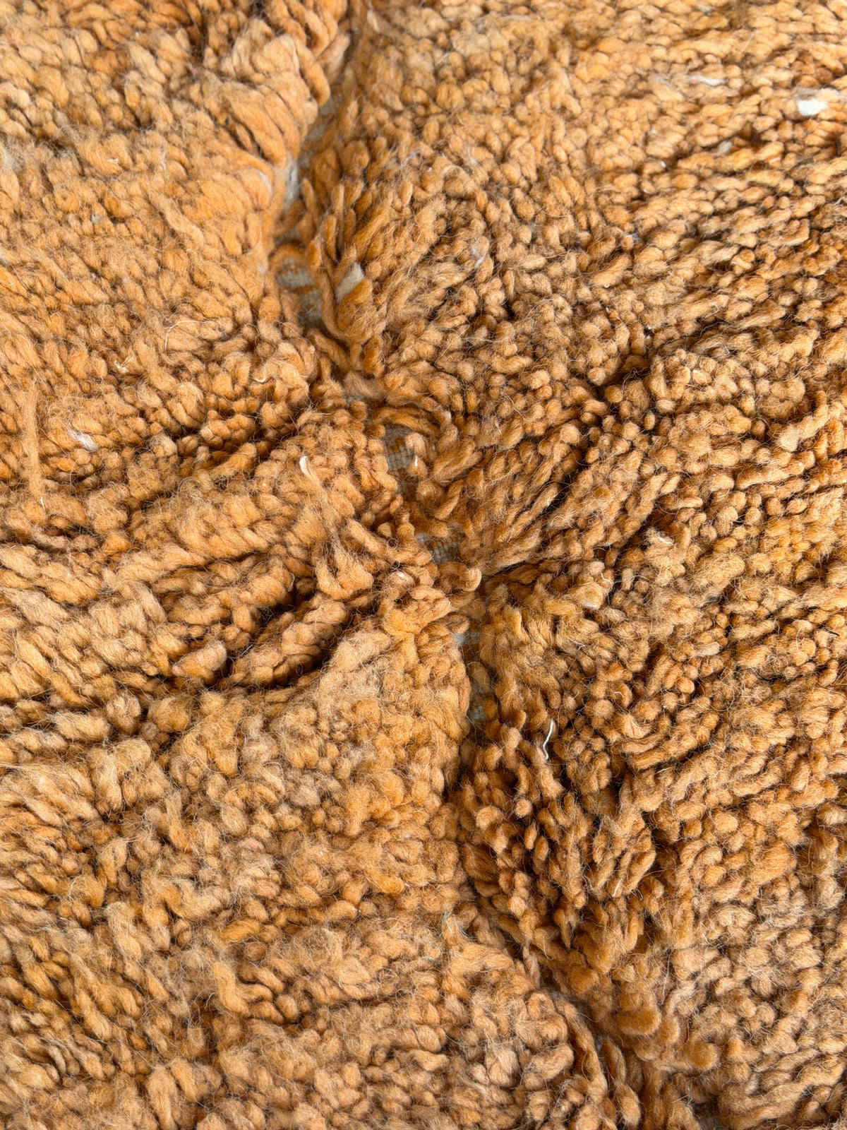 TAPIS BENI OUARAIN COLOR ◈ 300 cm x 210 cm