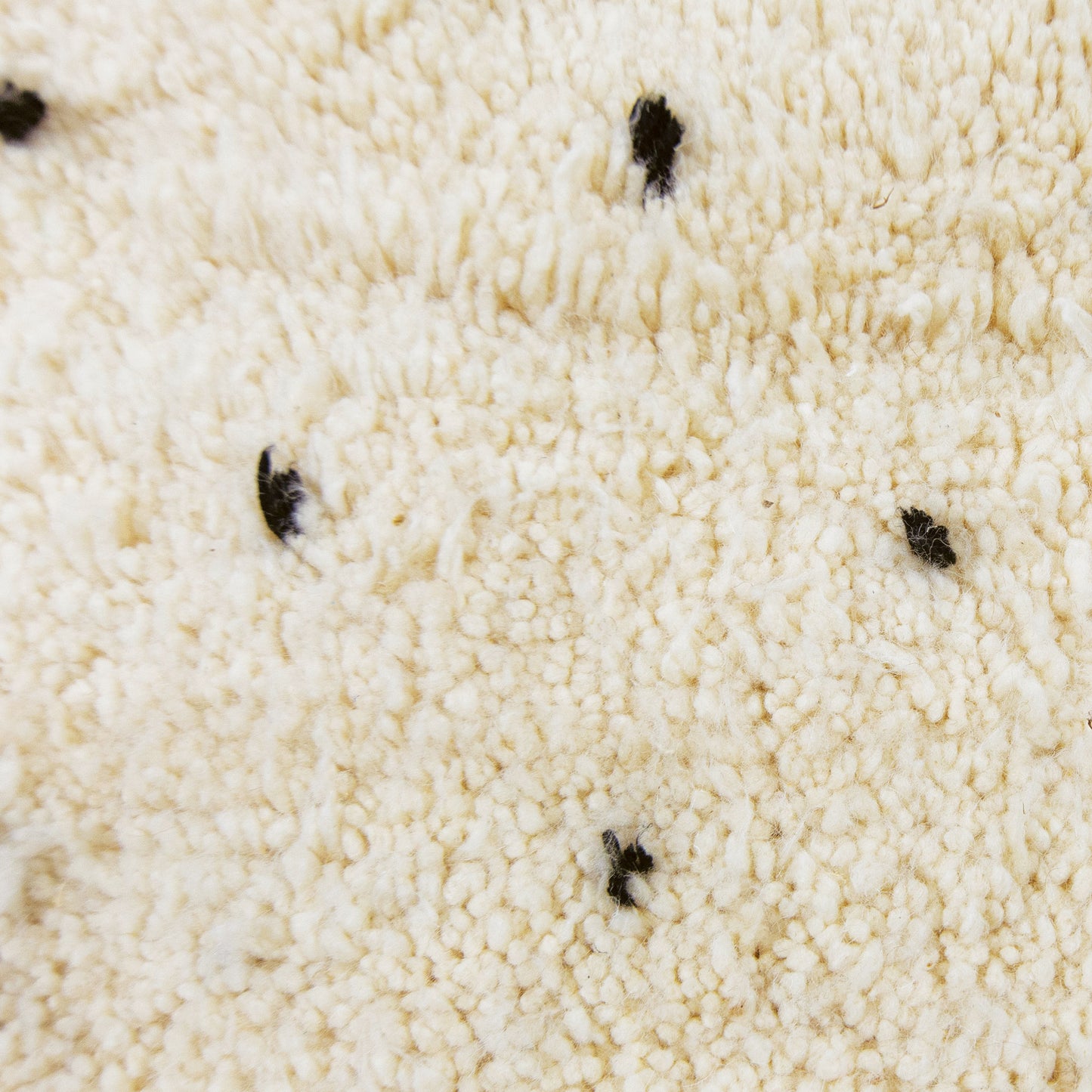 Tapis berbère, Tapis berbère Bruxelles