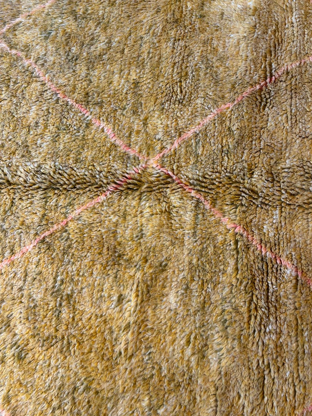 TAPIS BENI OUARAIN COLOR ◈ 250 cm x 170 cm